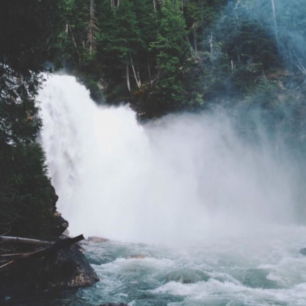 Meet your Posher, Amelie